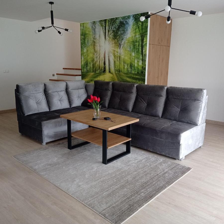 Domek U Fiedora Pieniazkowice Exteriör bild